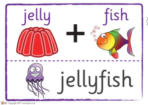 Jelly + Fish = Jellyfish
